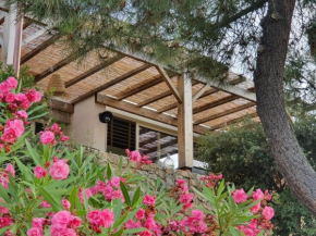 Hotels in Lumio